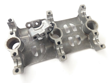 Triumph Daytona 955i T595N [2002] - Camhaftbock Set