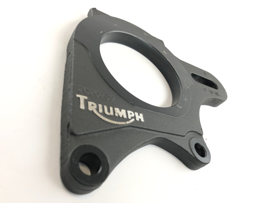 Triumph Daytona 955i T595N [2001] - Anchor Plate Brake Anchor