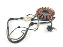Yamaha TT 600 RE DJ01 [2006] - Generatorstator-4