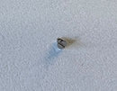 Rolex Cal. 2030 [Datejust 26mm] - 54414 Skrue for Anchor Bridge-2