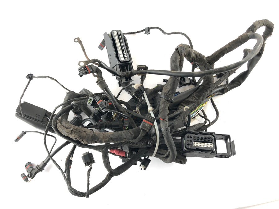 BMW F 800 ST [2006] - ledningsnett