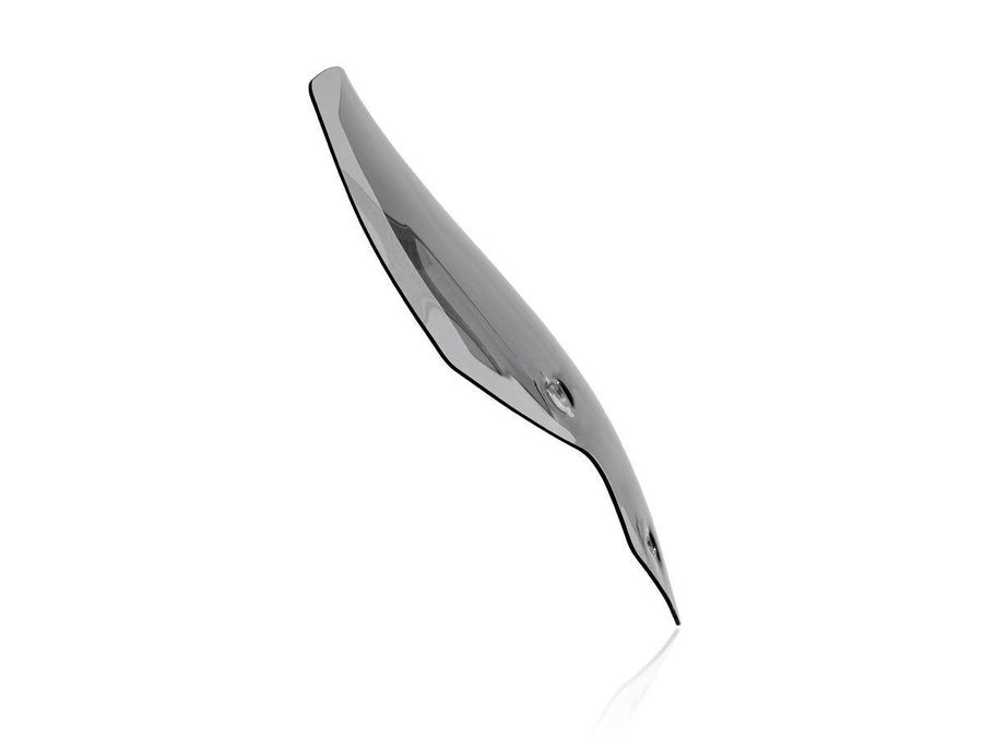 Triumph Tiger 900 GT Low [2020-2026] - Touring Windschild – Ansicht 9
