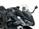 Kawasaki Ninja 1000 SX [2021-2024] - Sportsfrontrute - Vis 2
