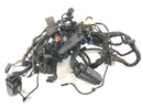 BMW F 800 ST [2006] - ledningsnett-1