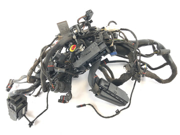 BMW F 800 ST [2006] - ledningsnett